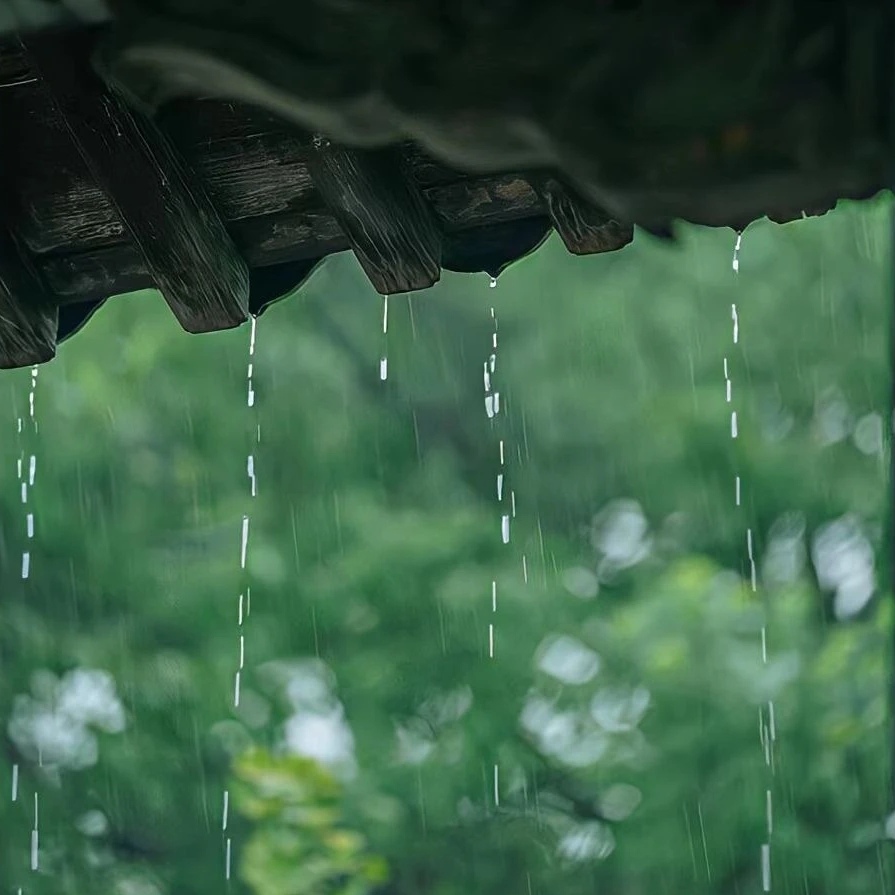  莫负金穗浪 · 轻步落枫风